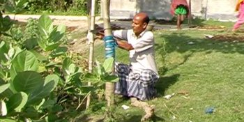 ৩৫ বছর ধরে বটগাছ লাগাচ্ছেন ইদ্রিস আলী